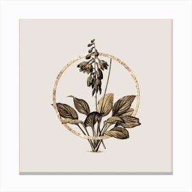 Gold Ring Daylily Glitter Botanical Illustration n.0207 Canvas Print