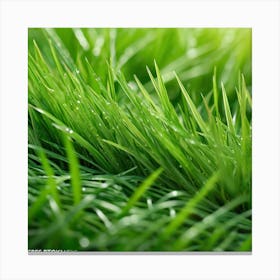 Grass Background 46 Canvas Print