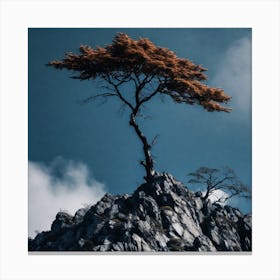 Lone Tree On Top Of Mountain 47 Canvas Print