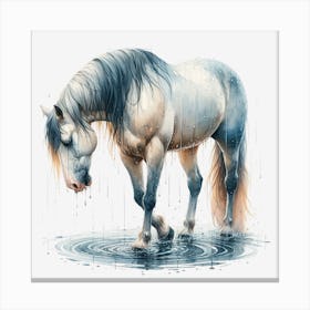 Horse In Water 1 Canvas Print