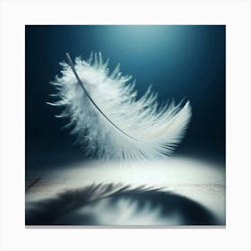 White Feather 1 Canvas Print