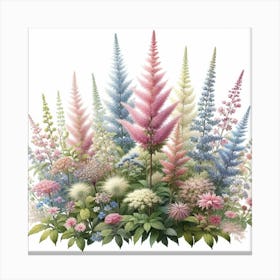 Astilbe 2 Canvas Print