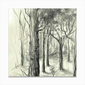 Eucalyptus Forest Canvas Print