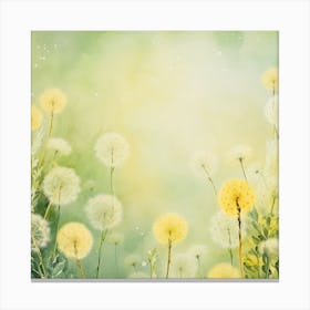 Dandelion 38 Canvas Print