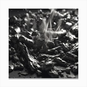 Black And White Image Of Burning Coal Canvas Print