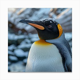 King Penguin 8 Canvas Print