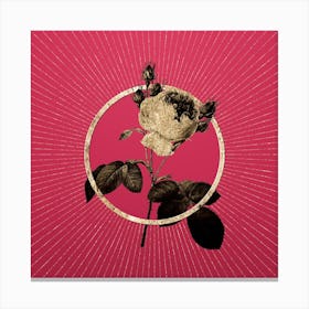 Gold Pink Cabbage Rose Glitter Ring Botanical Art on Viva Magenta n.0128 Canvas Print