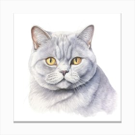 British Shorthair Cat Portrait 2 Canvas Print