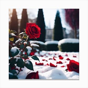 Fallen Rose Petals in the Topiary Garden Canvas Print