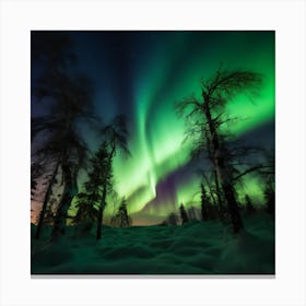 Nothern Lights 4 064734 Canvas Print