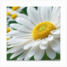 Daisy 3 Canvas Print