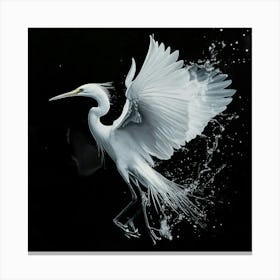 White Egret 2 Canvas Print