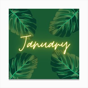 January Canvas Print