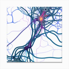 Neuron Stock Videos & Royalty-Free Footage 9 Canvas Print