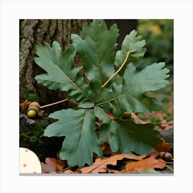 Oak leaf Canvas Print