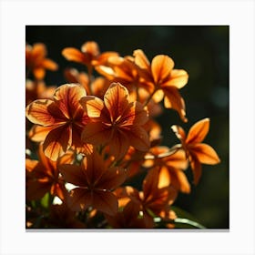 Orange Flowers 1 Canvas Print