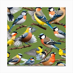 Many Birds On Branches Canvas Print