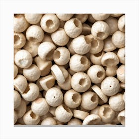 Mushroom Pods Canvas Print