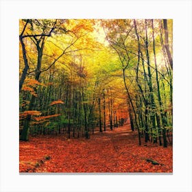 Autumn Forest Photo Canvas Print