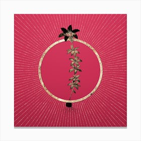 Gold Wood Lily Glitter Ring Botanical Art on Viva Magenta Canvas Print
