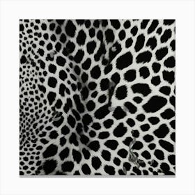 Black And White Leopard Print Canvas Print