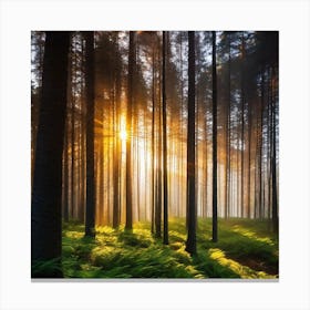 Sunrise In The Forest 14 Canvas Print