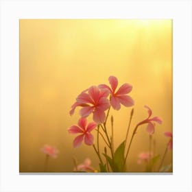 Pink Flowers At Sunrise Canvas Print