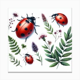 Ladybird 2 Canvas Print