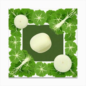 White Turnip Canvas Print