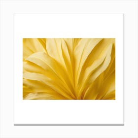 Yellow Dahlia Canvas Print