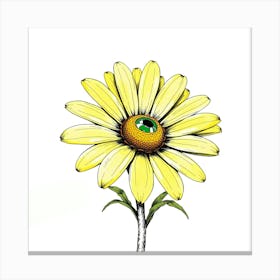 Daisy 8 Canvas Print