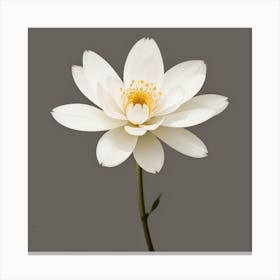 Lotus Flower 1 Canvas Print