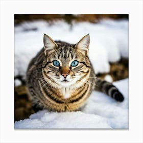 Blue Eye Cat In The Snow Canvas Print