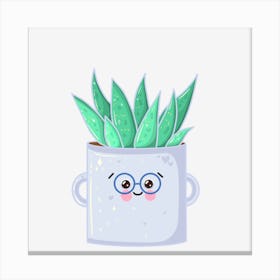 Aloe Vera Canvas Print