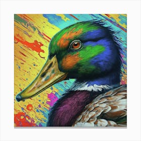Mallard Duck 2 Canvas Print