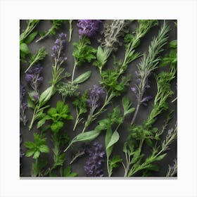 Top View Of Herbs Canvas Print