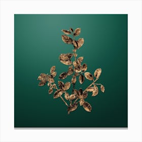 Gold Botanical Italian Buckthorn on Dark Spring Green n.0135 Canvas Print
