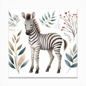 Zebra Canvas Print