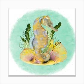 Seahorse/Hyppocampe Canvas Print
