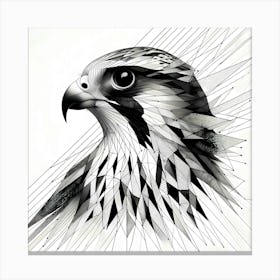 Falcon Head - Abstract Line Art Illustration 45 Canvas Print