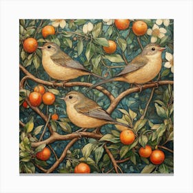 Three Birds On An Orange Tree Canvas Print