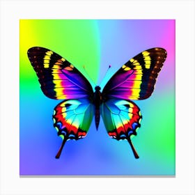 Butterfly - Butterfly Stock Videos & Royalty-Free Footage Canvas Print