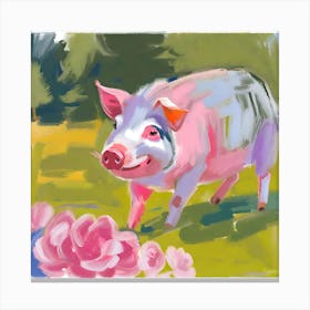 Hampshire Pig 01 Canvas Print