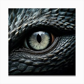 Firefly Black, Dragon, Closeup, Eye, Light, Grey, Blue, Macro, Noir, Black And White, Detailed, Text (9) Canvas Print