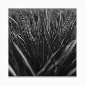 Grass Canvas Print