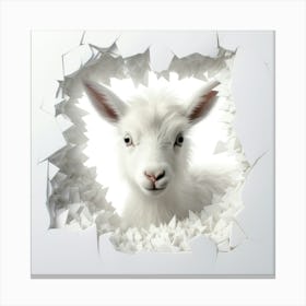 Goat Through A Hole Canvas Print