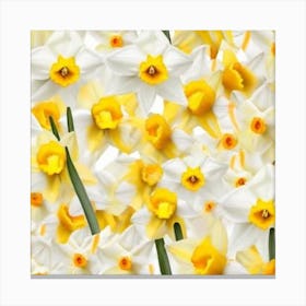 Daffodils 6 Canvas Print