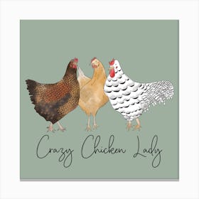 Crazy Chicken Hen Lady Square Canvas Print