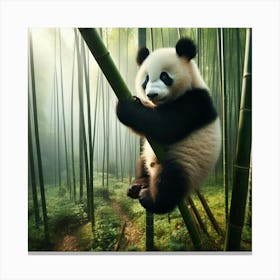 Panda Bear In Bamboo Forest 7 Canvas Print