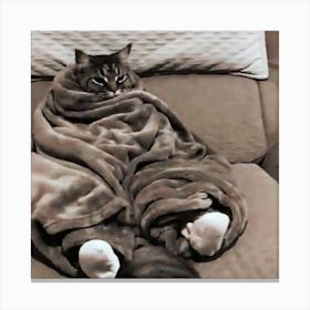 Cat Wrapped In Blanket Canvas Print
